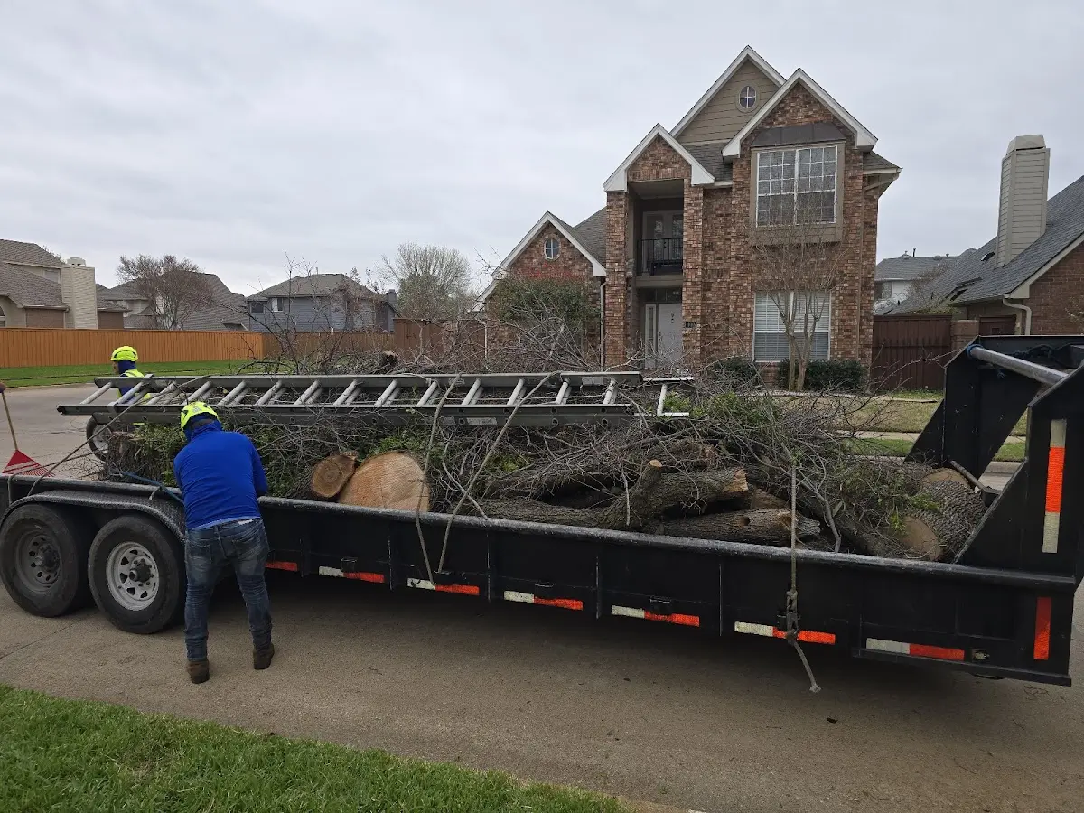 Expert Tree Removal with proper safety equipment in Espanola